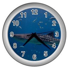 Whale Shark 1 Wall Clocks (silver)  by trendistuff