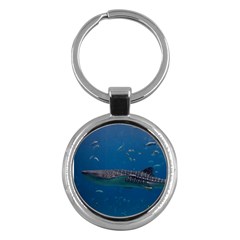 Whale Shark 1 Key Chains (round)  by trendistuff