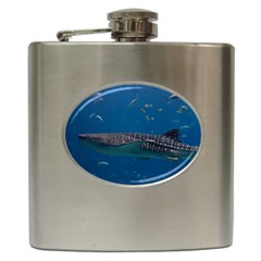 Whale Shark 1 Hip Flask (6 Oz) by trendistuff