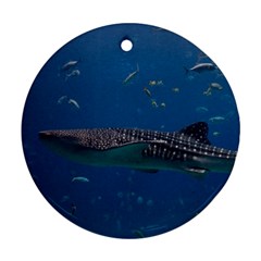 Whale Shark 1 Round Ornament (two Sides) by trendistuff