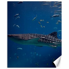 Whale Shark 1 Canvas 16  X 20   by trendistuff