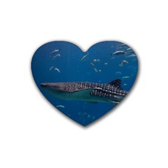 Whale Shark 1 Rubber Coaster (heart)  by trendistuff