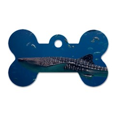 Whale Shark 1 Dog Tag Bone (one Side) by trendistuff