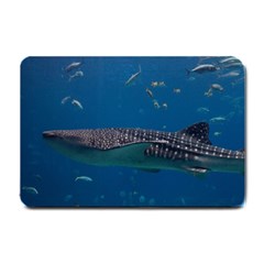 Whale Shark 1 Small Doormat  by trendistuff