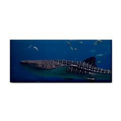 Whale Shark 1 Cosmetic Storage Cases by trendistuff