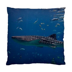 Whale Shark 1 Standard Cushion Case (one Side) by trendistuff