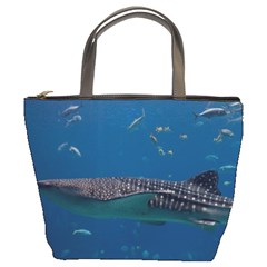 Whale Shark 1 Bucket Bags by trendistuff