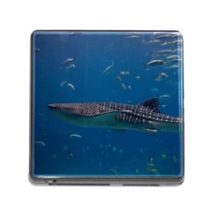 Whale Shark 1 Memory Card Reader (square) by trendistuff