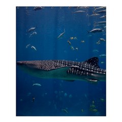 Whale Shark 1 Shower Curtain 60  X 72  (medium)  by trendistuff