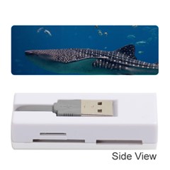 Whale Shark 1 Memory Card Reader (stick)  by trendistuff