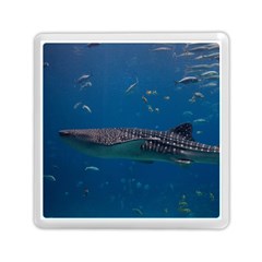 Whale Shark 1 Memory Card Reader (square)  by trendistuff