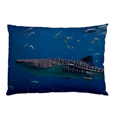 Whale Shark 1 Pillow Case (two Sides) by trendistuff