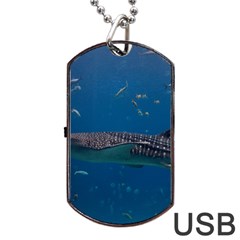 Whale Shark 1 Dog Tag Usb Flash (one Side) by trendistuff