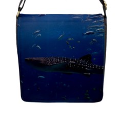 Whale Shark 1 Flap Messenger Bag (l)  by trendistuff