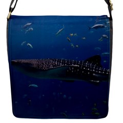 Whale Shark 1 Flap Messenger Bag (s) by trendistuff