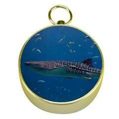 Whale Shark 1 Gold Compasses by trendistuff