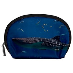 Whale Shark 1 Accessory Pouches (large)  by trendistuff