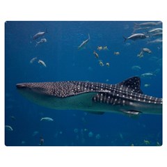 Whale Shark 1 Double Sided Flano Blanket (medium)  by trendistuff