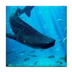 Whale Shark 2 Tile Coasters by trendistuff