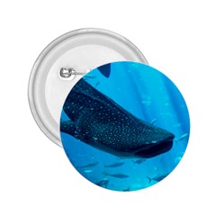 Whale Shark 2 2 25  Buttons by trendistuff