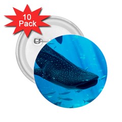 Whale Shark 2 2 25  Buttons (10 Pack)  by trendistuff