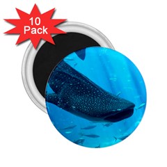 Whale Shark 2 2 25  Magnets (10 Pack)  by trendistuff