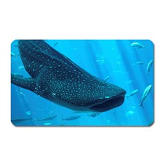 Whale Shark 2 Magnet (rectangular) by trendistuff