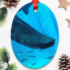 Whale Shark 2 Oval Ornament (two Sides) by trendistuff