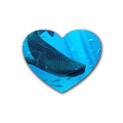 Whale Shark 2 Rubber Coaster (heart)  by trendistuff