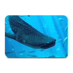 Whale Shark 2 Plate Mats by trendistuff