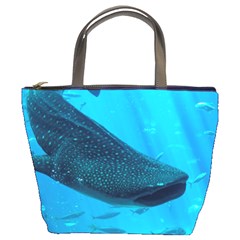 Whale Shark 2 Bucket Bags by trendistuff