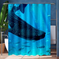 Whale Shark 2 Shower Curtain 60  X 72  (medium)  by trendistuff