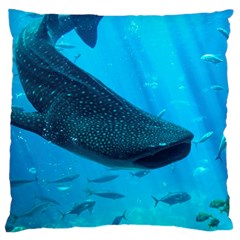 Whale Shark 2 Large Cushion Case (one Side) by trendistuff