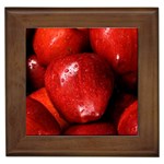 APPLES 1 Framed Tiles