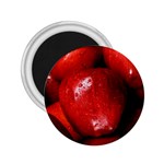 APPLES 1 2.25  Magnets