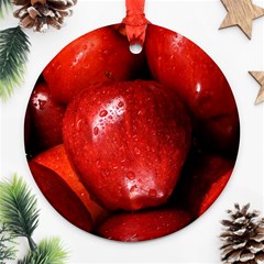 Apples 1 Ornament (round) by trendistuff