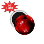 APPLES 1 1.75  Magnets (10 pack) 