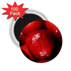 Apples 1 2 25  Magnets (100 Pack)  by trendistuff