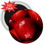 APPLES 1 3  Magnets (100 pack)