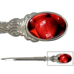 Apples 1 Letter Openers by trendistuff