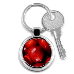 Apples 1 Key Chains (round)  by trendistuff