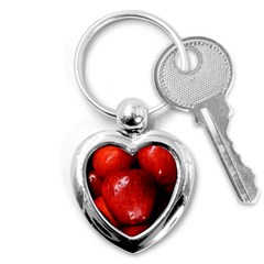 Apples 1 Key Chains (heart)  by trendistuff