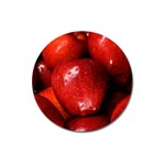 APPLES 1 Magnet 3  (Round)