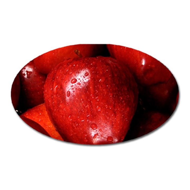 APPLES 1 Oval Magnet