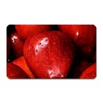 APPLES 1 Magnet (Rectangular)