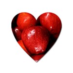 APPLES 1 Heart Magnet