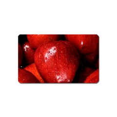 Apples 1 Magnet (name Card) by trendistuff