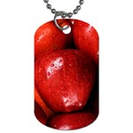 APPLES 1 Dog Tag (One Side)