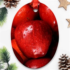 Apples 1 Oval Ornament (two Sides) by trendistuff