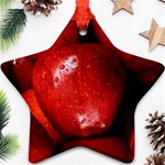 APPLES 1 Star Ornament (Two Sides)